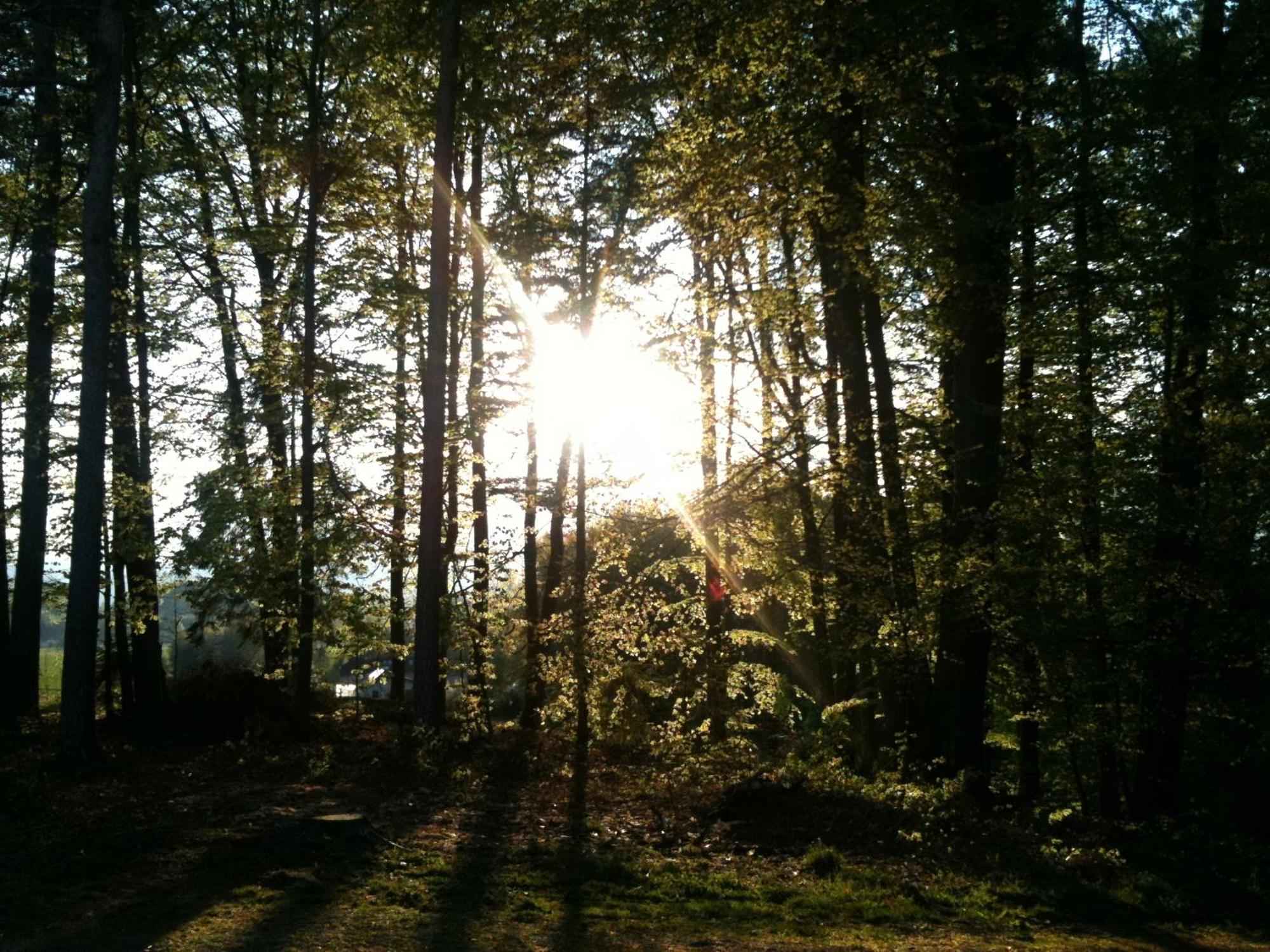 Waldpension Schiefling Am See Kültér fotó