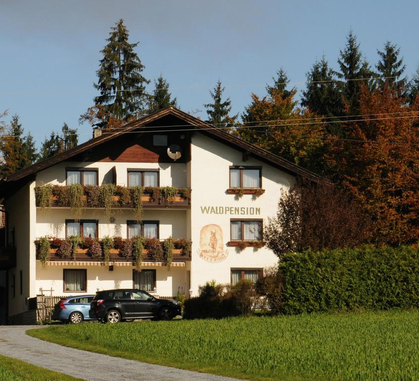 Waldpension Schiefling Am See Kültér fotó