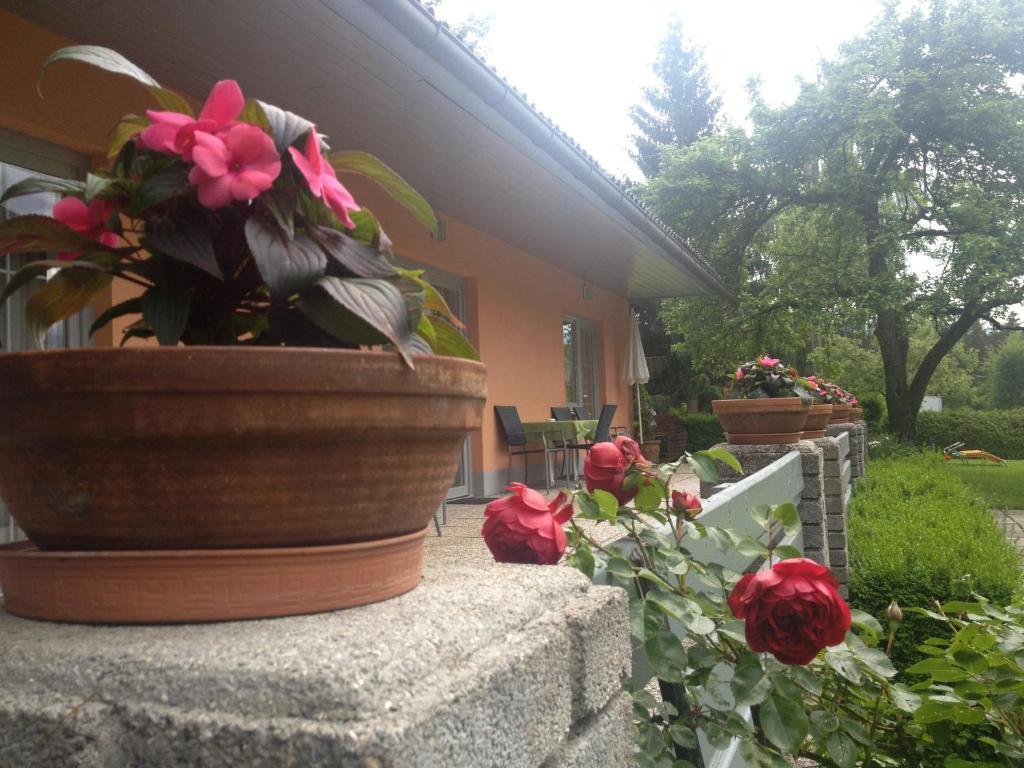 Waldpension Schiefling Am See Kültér fotó